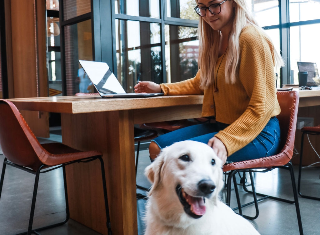 asbury park hotels dog friendly