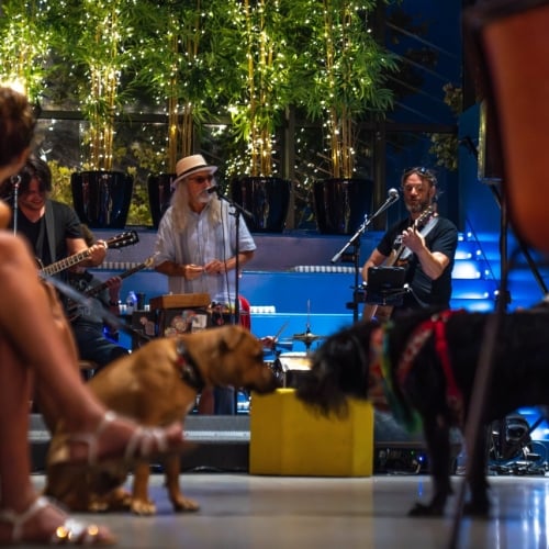 Cool live music experience at Soundbooth, The Asbury's pet-friendly social hub in Asbury Park.