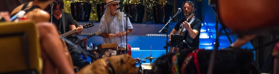 Cool live music experience at Soundbooth, The Asbury's pet-friendly social hub in Asbury Park.